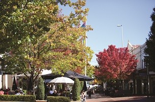 Sunday markets photo